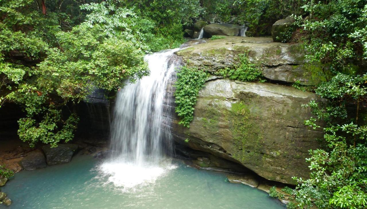 Buderim Forest Hideaway Exteriér fotografie