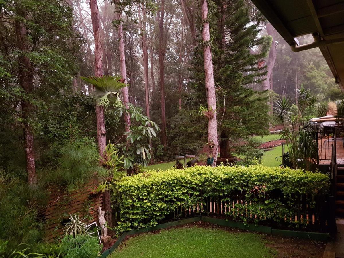 Buderim Forest Hideaway Exteriér fotografie